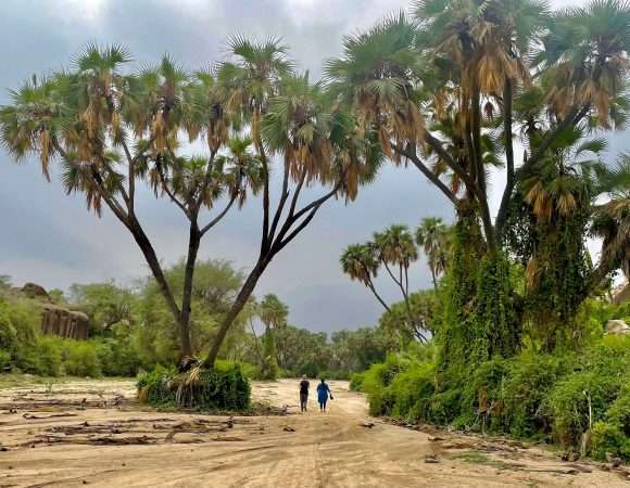 Discover Saudi (#Jazan 2/13)