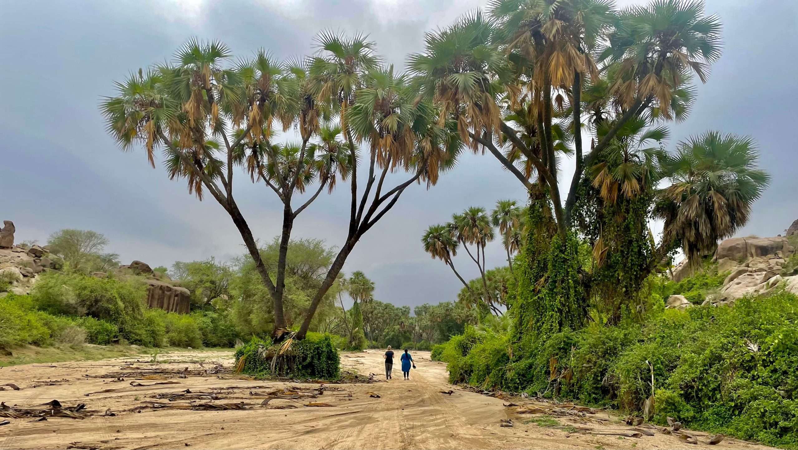 Discover Saudi (#Jazan 2/13)