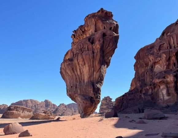 Discover Saudi (#neom 2/6)