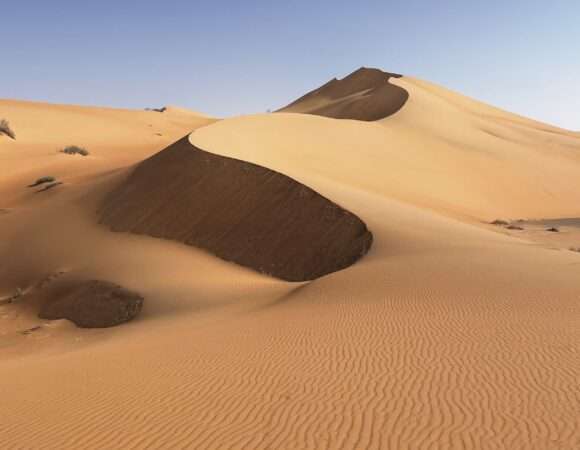 Step Into Pure Amazement