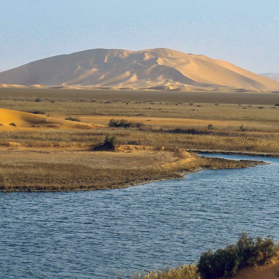 Rub Al Khali Desert