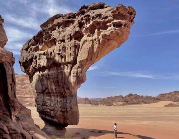 National Day package trip (#tabuk 2/5)