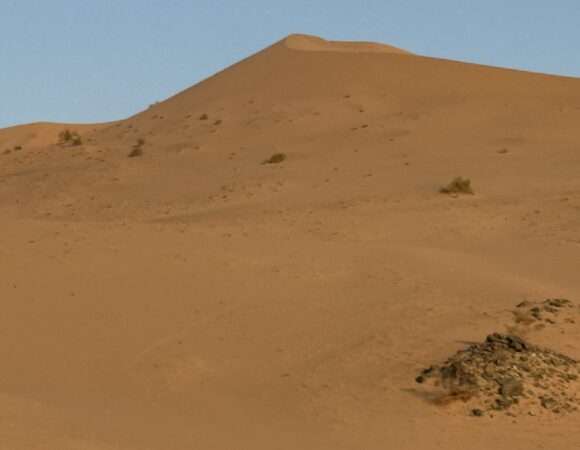 Desert Adventure (#jeddah 4/1)