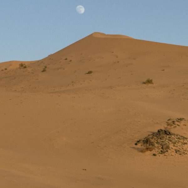 Desert Adventure (#jeddah 4/1)